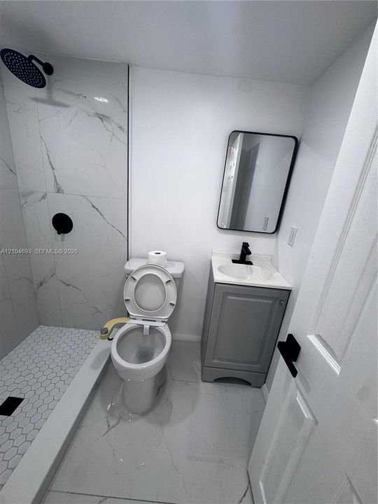 Walk-in shower with hexagonal mosaic tile floor and large format wall tile, complemented by a single vanity with storage, and a rectangular mirror