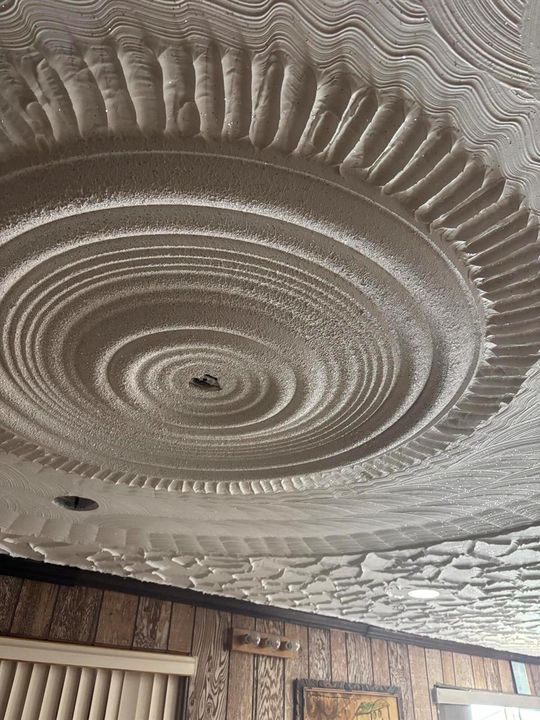 Den Ceiling