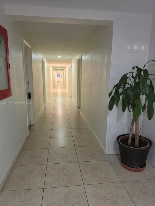 Hallway to apartment