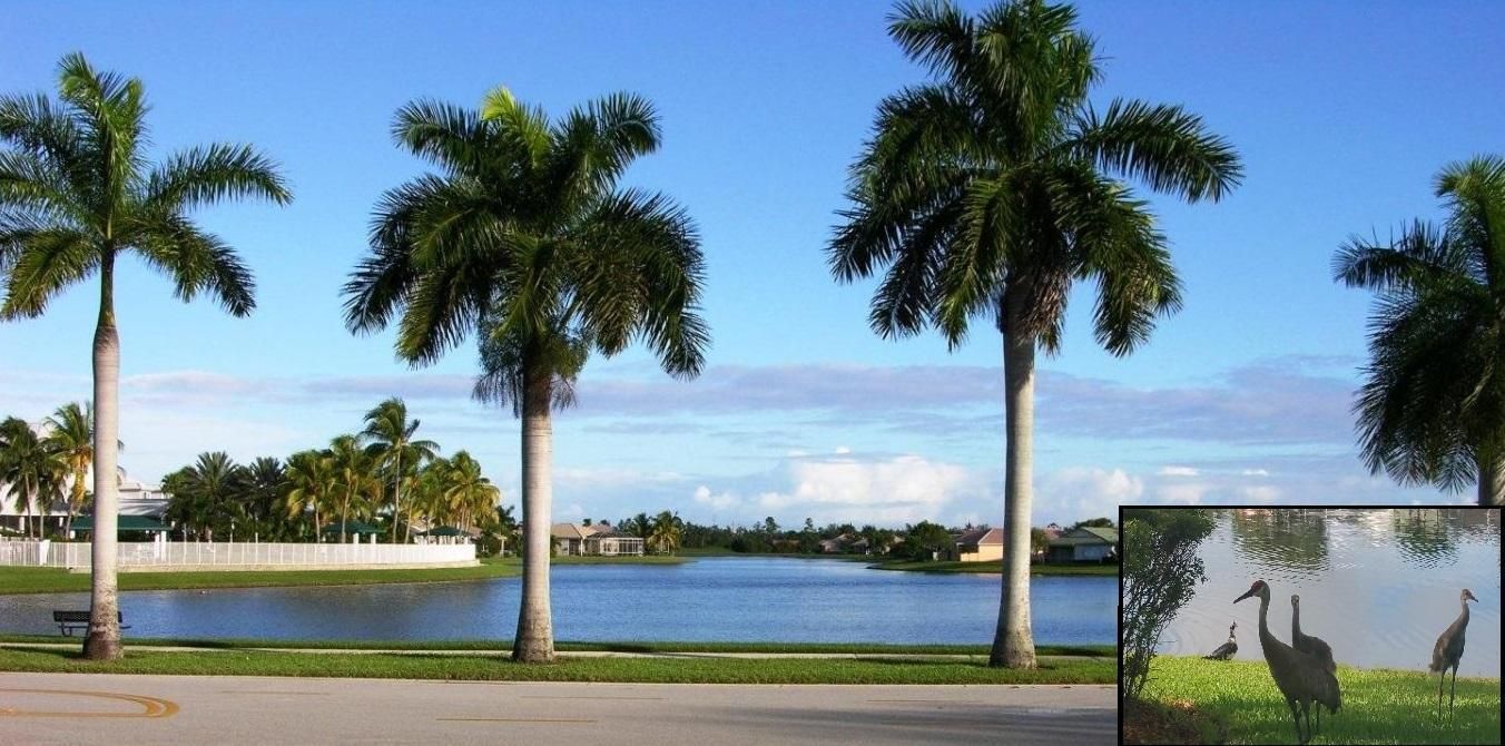 Lake near clubhouse