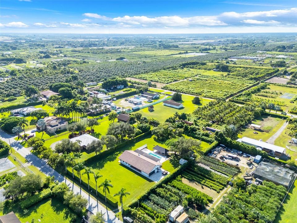 Aerial perspective of a sprawling property featuring expansive landscaped grounds, mature palm trees, a dedicated swimming pool, and an attached multi-car garage