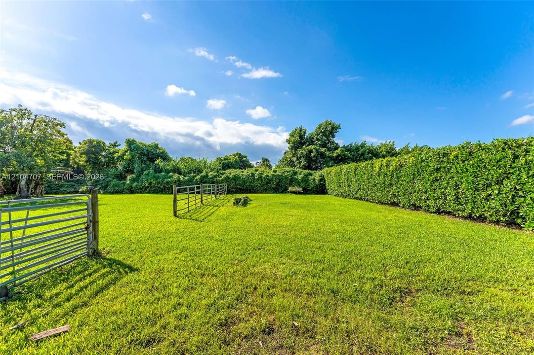 Expansive open-air lot featuring a grassy lawn, metal fencing, and perimeter hedging