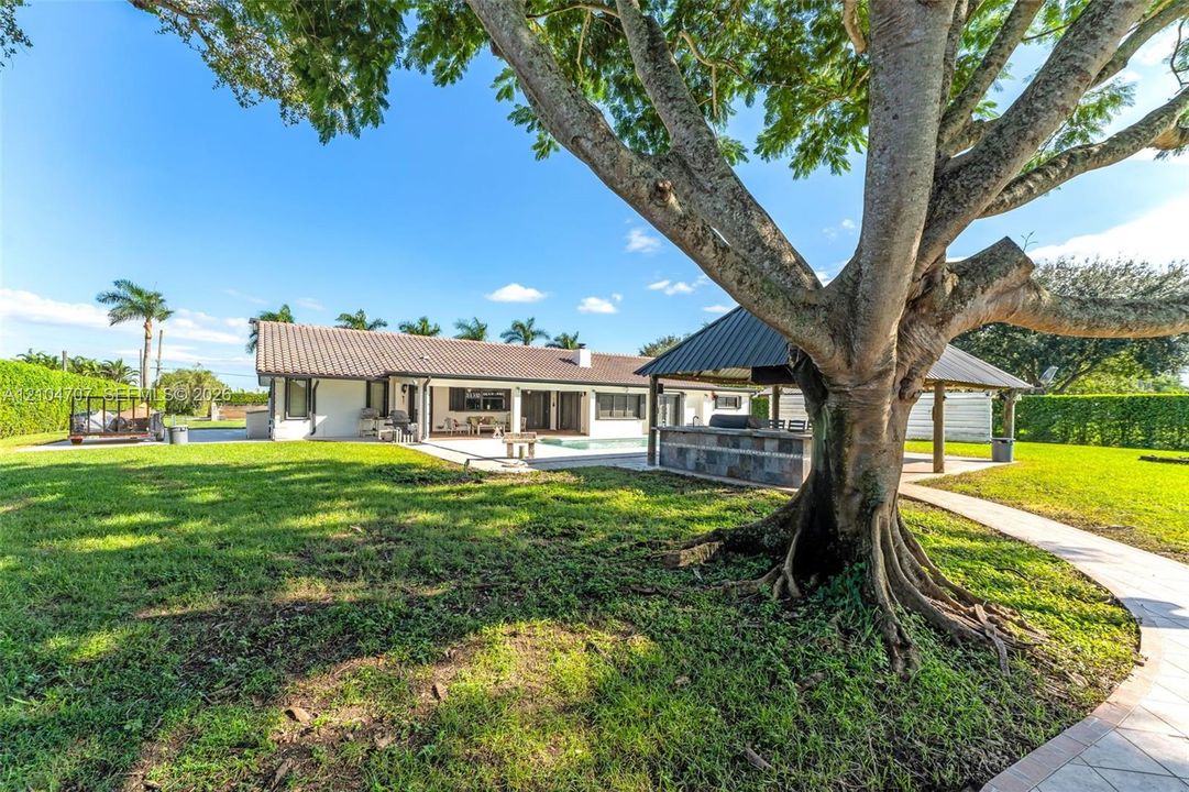 Expansive backyard featuring a covered outdoor kitchen, stone-accented grilling station, paved walking path, and mature specimen tree