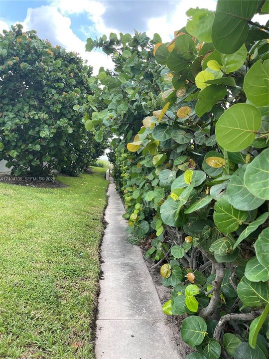 Private Beach Access