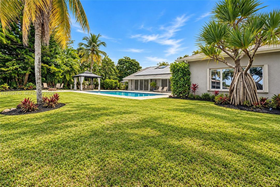 Expansive lawn with mature palm trees, a swimming pool, and a poolside gazebo