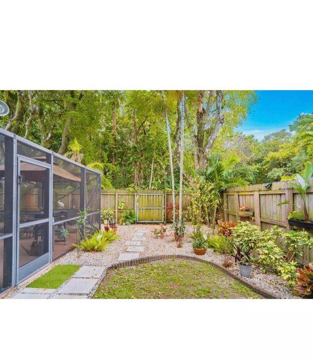 Back Yard