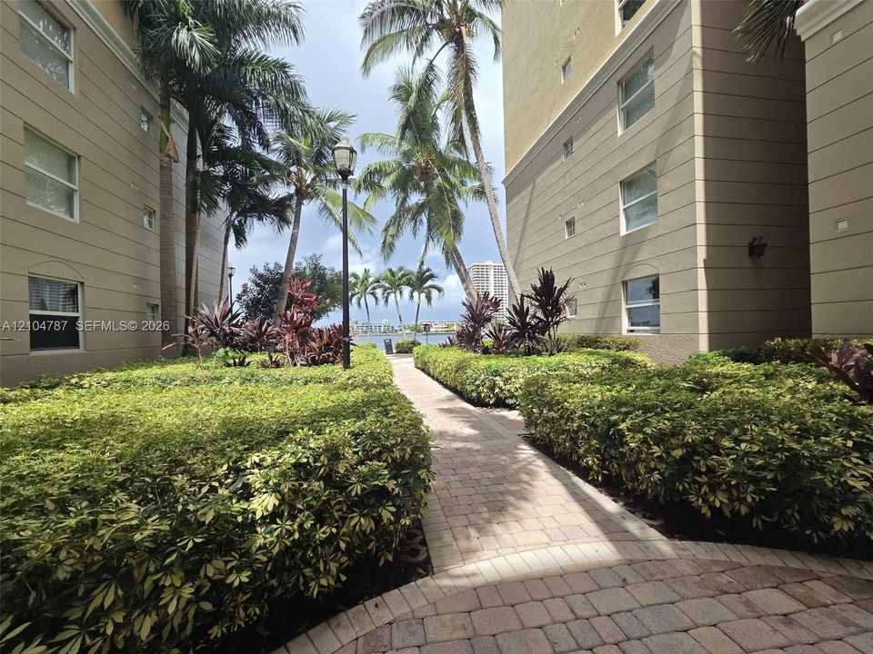 Paver walkway flanked by manicured hedges, mature palm trees, and exterior building facades featuring multi-story windows and pedestal lighting