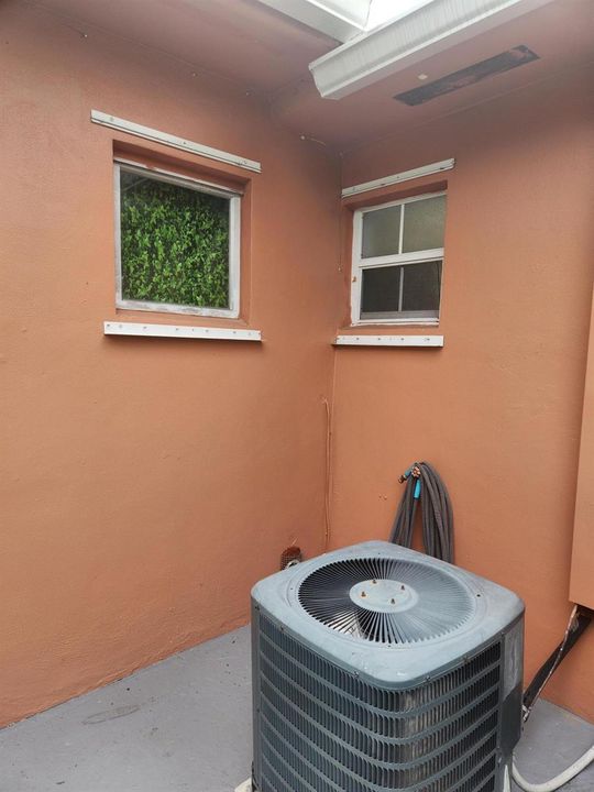 Cleaned back yard