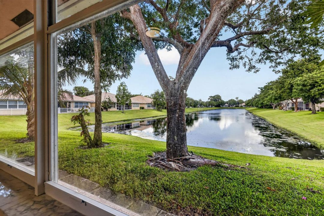 Lake view