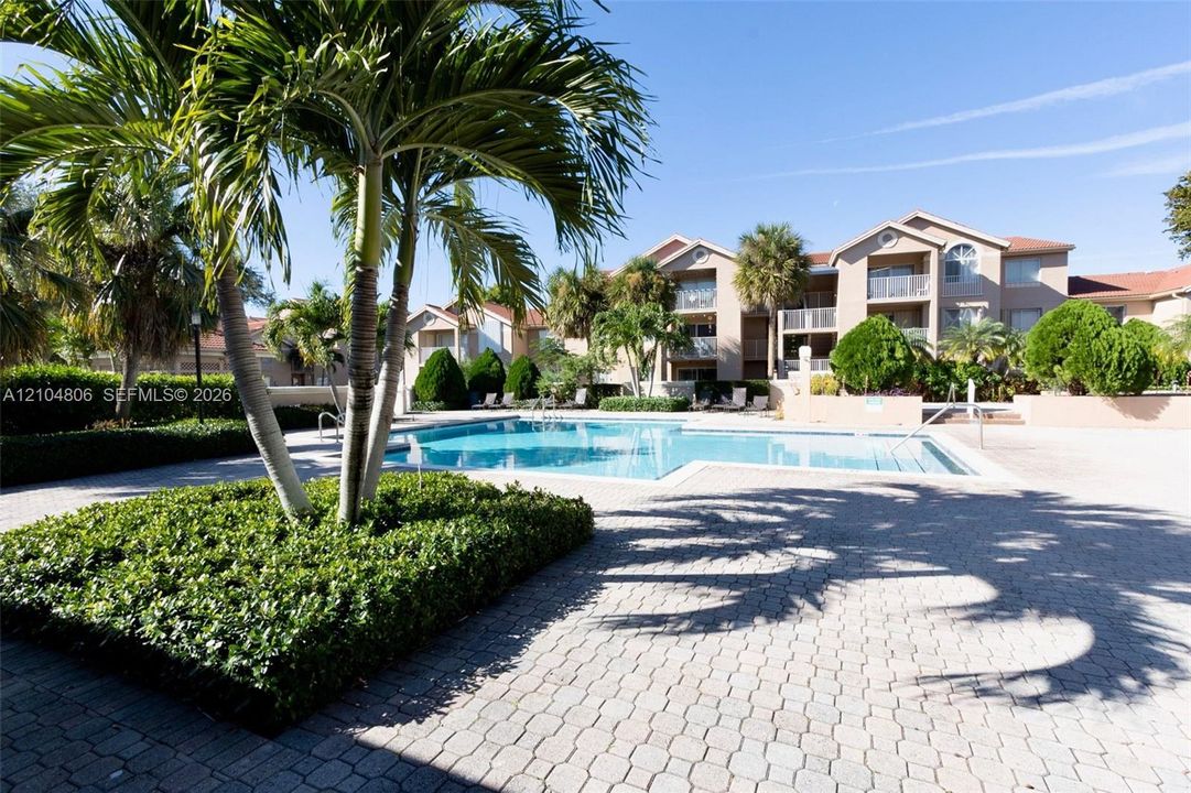 Community swimming pool with a paved deck, surrounded by mature palm trees and landscaped shrubbery