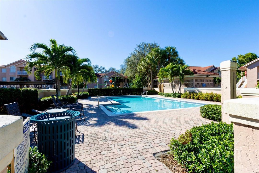 Expansive outdoor pool with integrated steps, surrounded by paver decking and mature palm trees