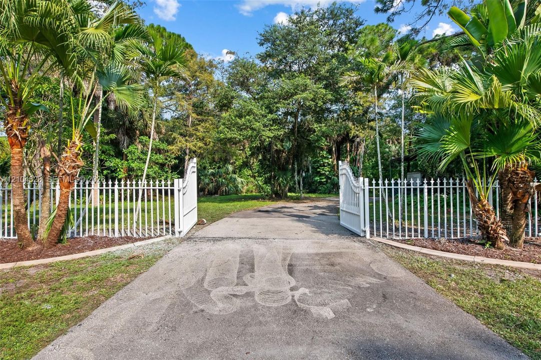 Paved driveway with a white picket fence, open gate, and mature palm trees