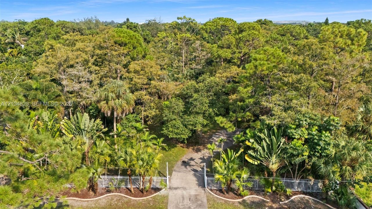 Gated entry with a paved driveway, surrounded by mature trees and lush tropical landscaping