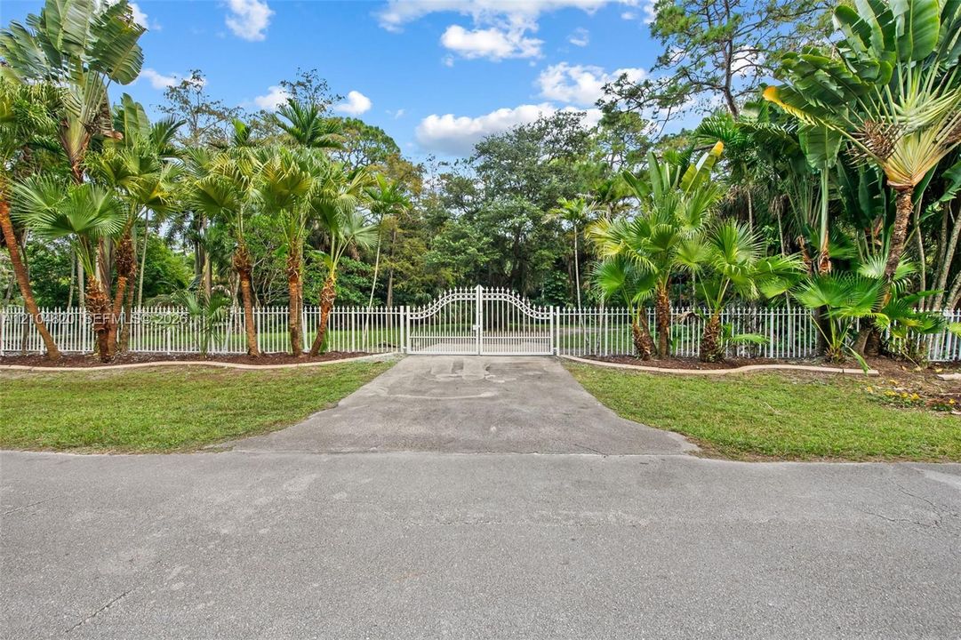 Gated entry with white wrought iron fencing, concrete driveway, and mature tropical landscaping