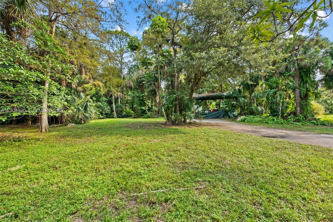 Expansive grassy area surrounded by mature trees and lush foliage