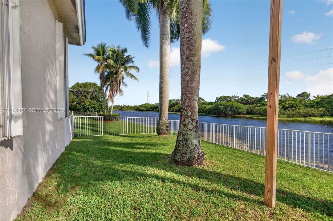 Waterfront backyard featuring a grass lawn, mature palm trees, and a perimeter metal fence