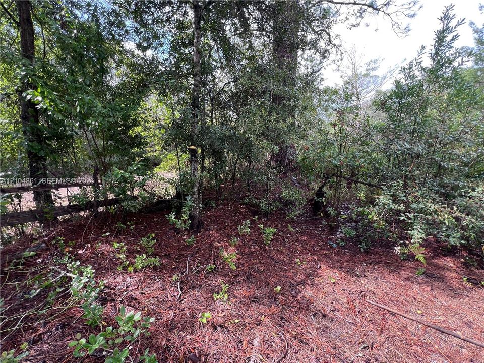 待售: $25,000 (0.22 acres)