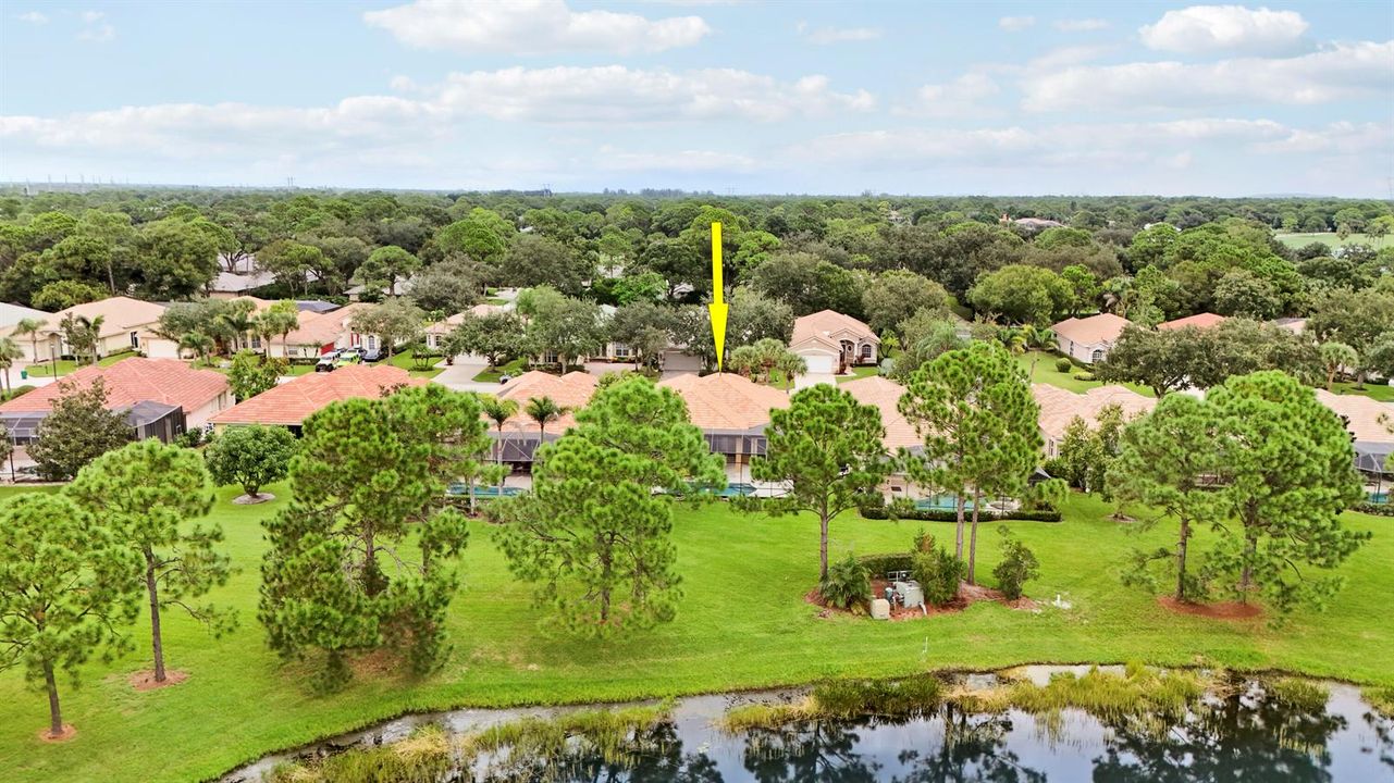 Aerials-35 copy