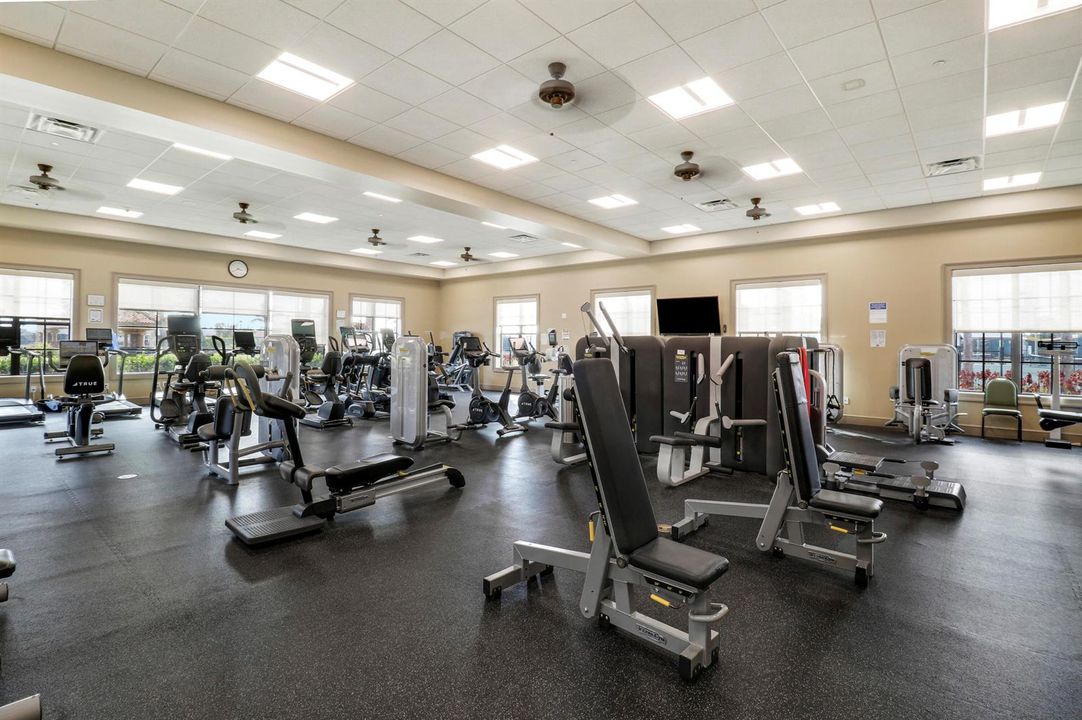Gym II