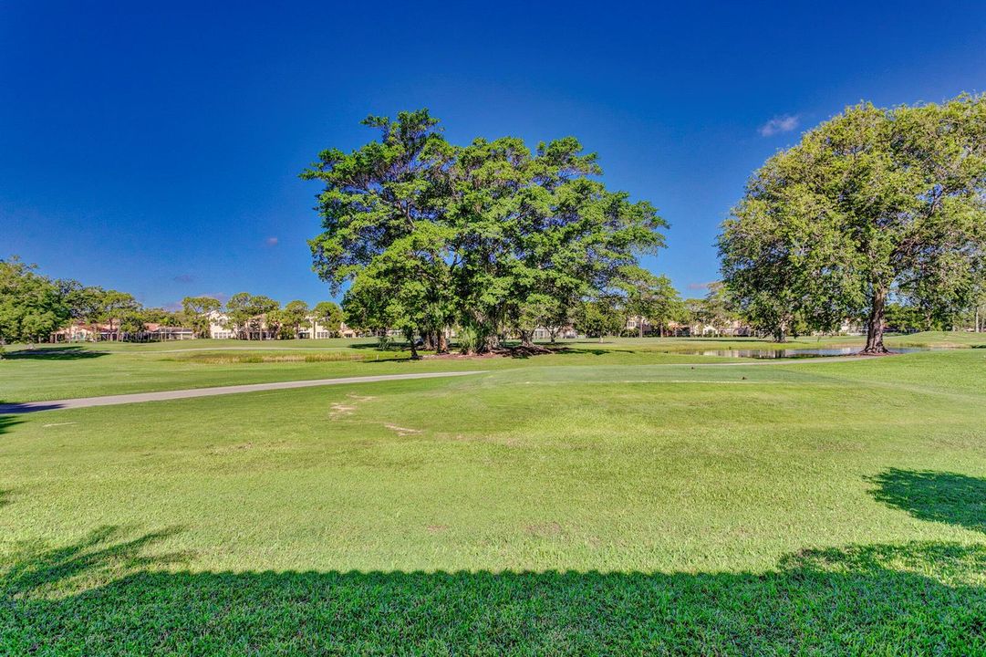 Golf View