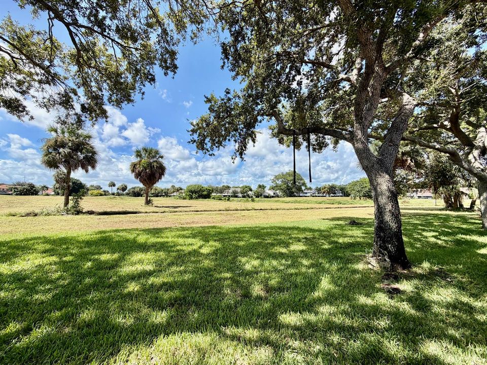 Backyard view