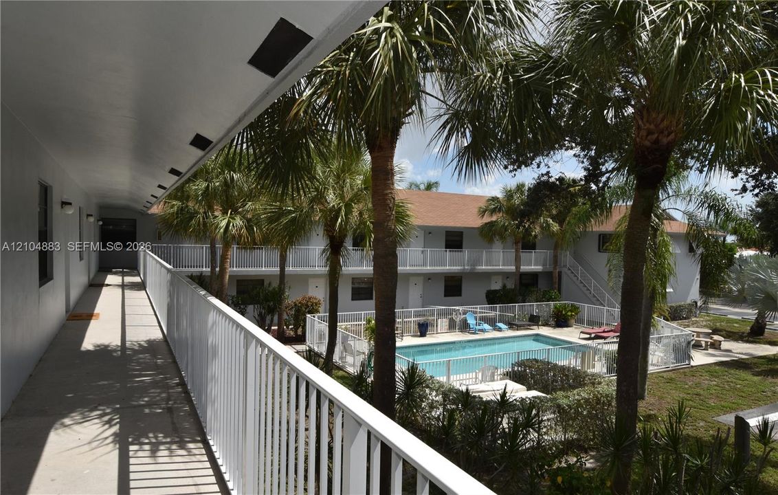 Outdoor swimming pool surrounded by a white fence and mature palm trees