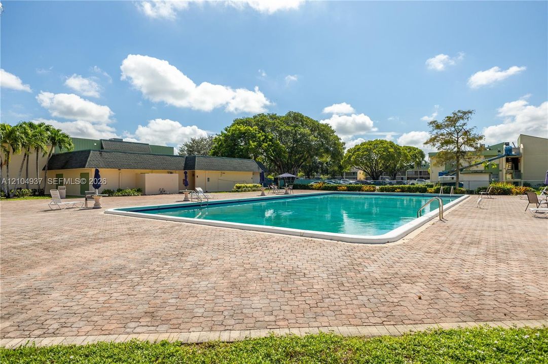 Rectangular swimming pool featuring a brick-paver deck and surrounding mature trees