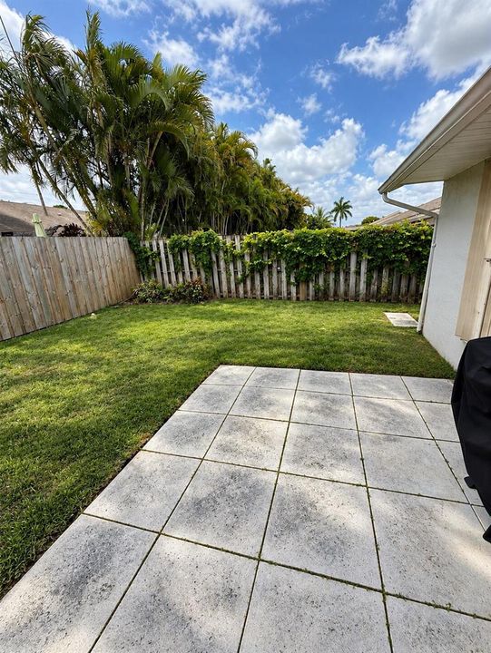 Backyard