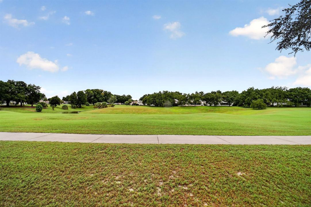 The Tortoise & The Hare Golf Course