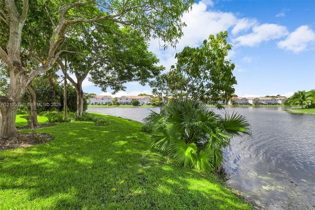 Waterfront grounds featuring mature canopy trees, manicured turf, and tropical vegetation