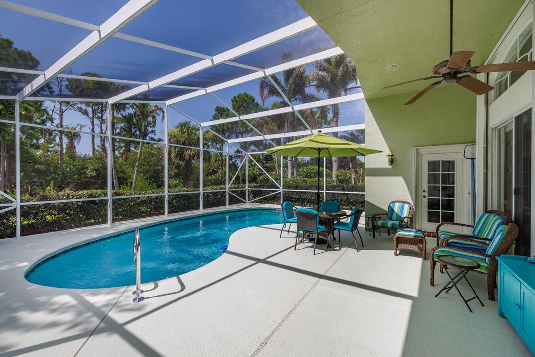 Patio View