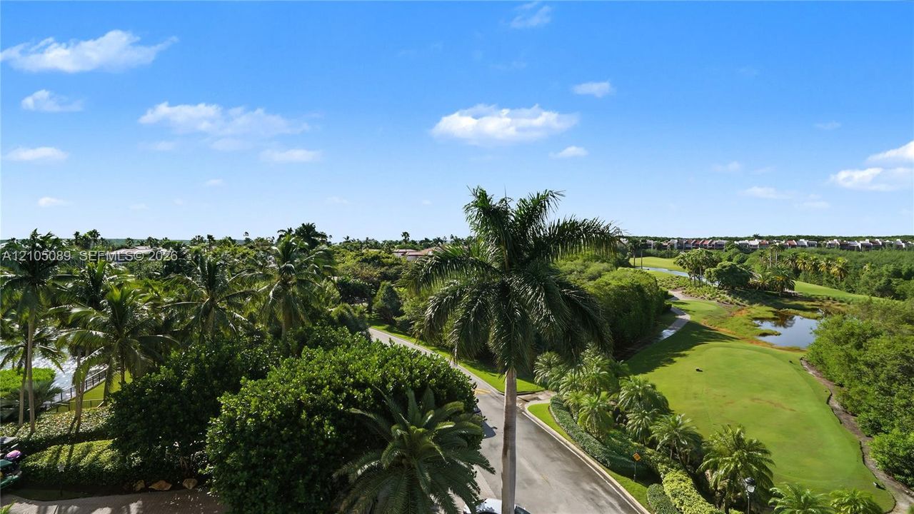 Aerial perspective featuring a manicured golf course, native landscaping, established palm trees, and water features