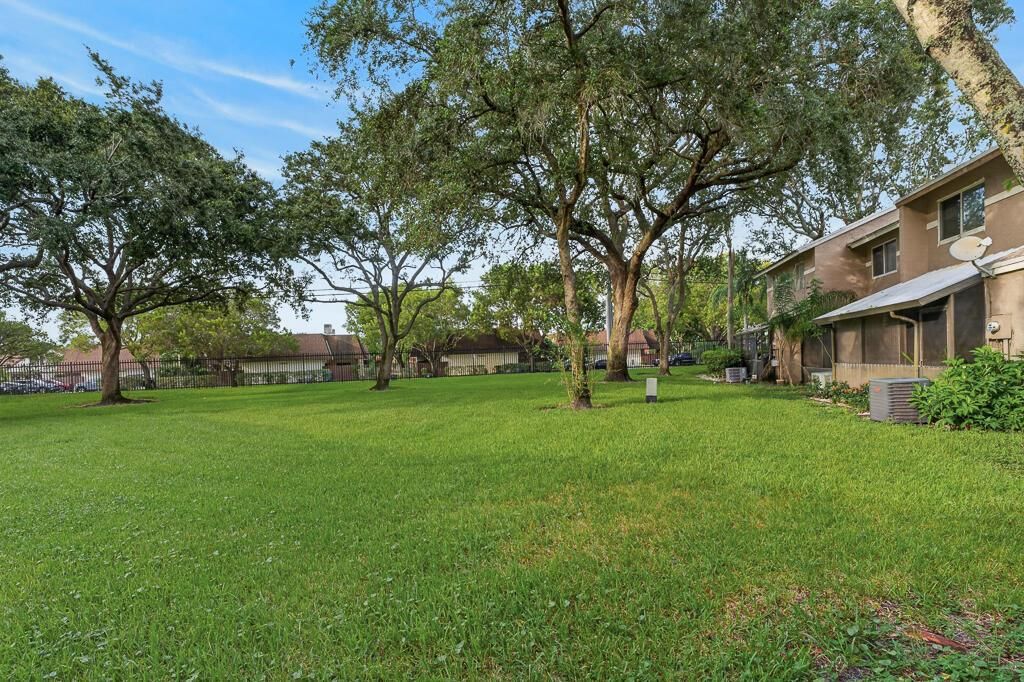 View from back yard