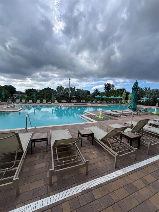 Swimming pool with a brick-paver deck and surrounding mature landscaping