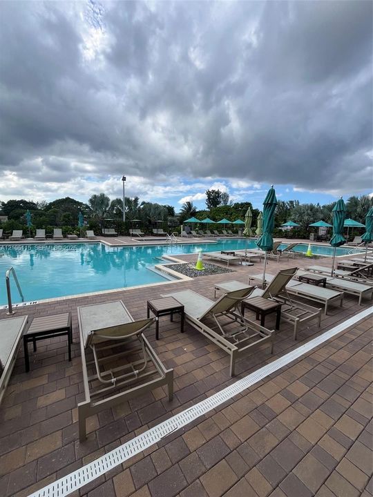 Swimming pool featuring a brick paver surround and perimeter landscaping