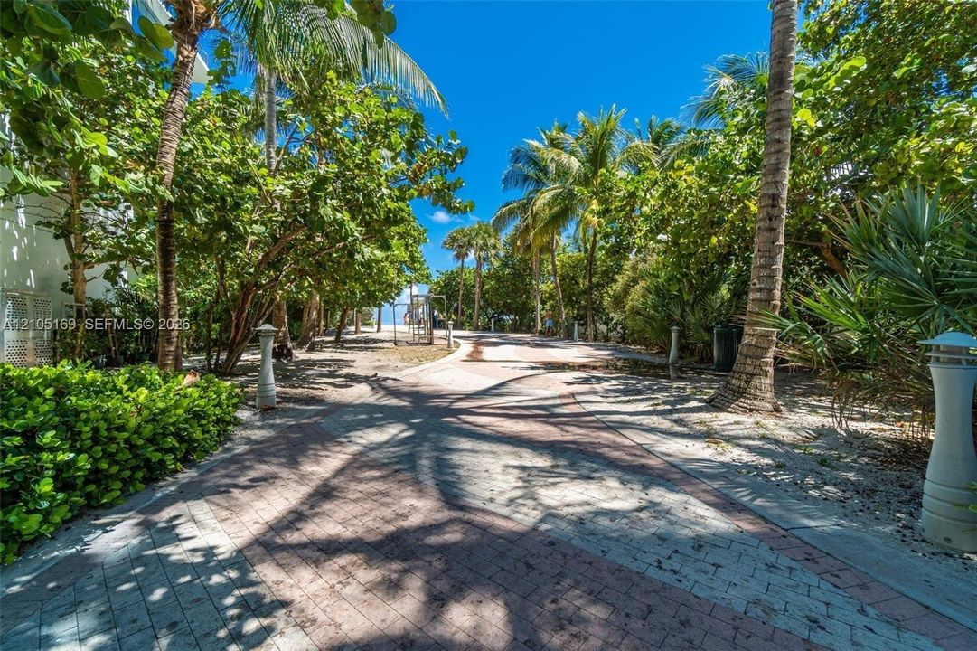 Paver pathway with lush landscaping and mature palm trees