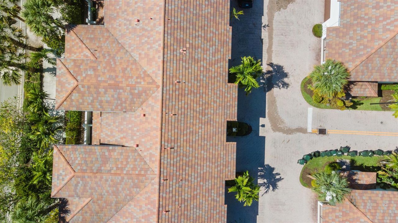 DJI_0439