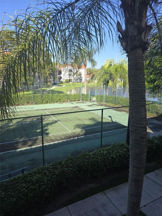 Tennis court enclosed by chain-link fencing, situated near a pond and landscaped shrubbery