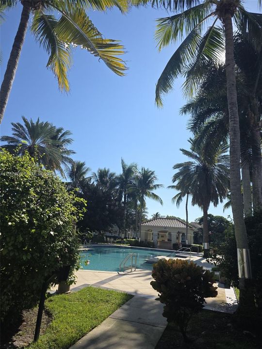 Swimming pool featuring a paved deck, surrounding mature palm trees, manicured landscaping, and a poolside pavilion