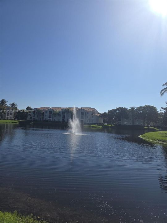 Waterfront grounds featuring a central pond, a mechanical water fountain, and manicured green space