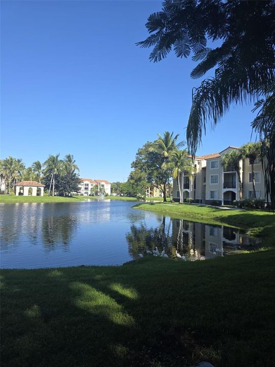 Waterfront property featuring a lake, mature palm trees, landscaped green space, and multi-story structures