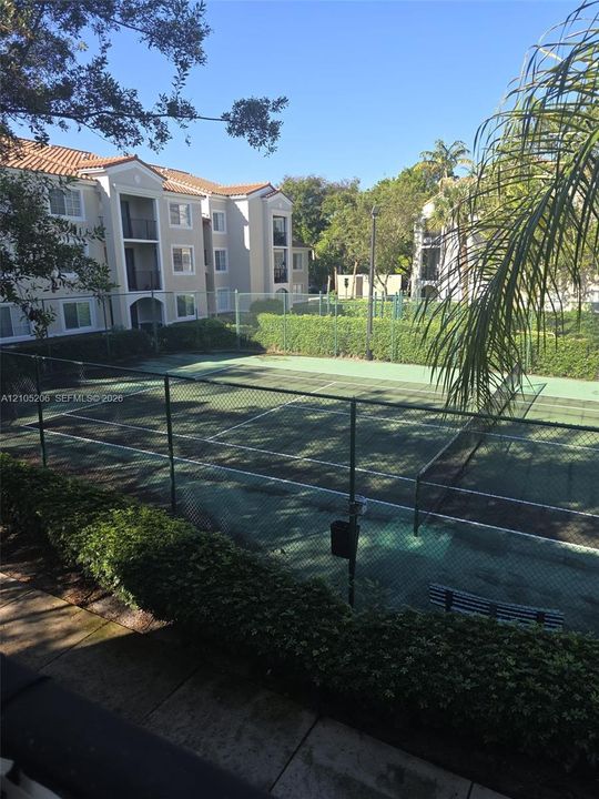 Tennis court featuring a perimeter chain-link fence, hard court surface, and surrounding manicured hedging