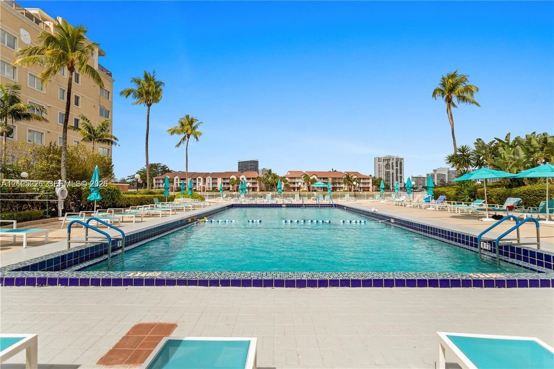 Rectangular swimming pool featuring a tiled waterline, metal handrails, a paved perimeter, and surrounding palm trees