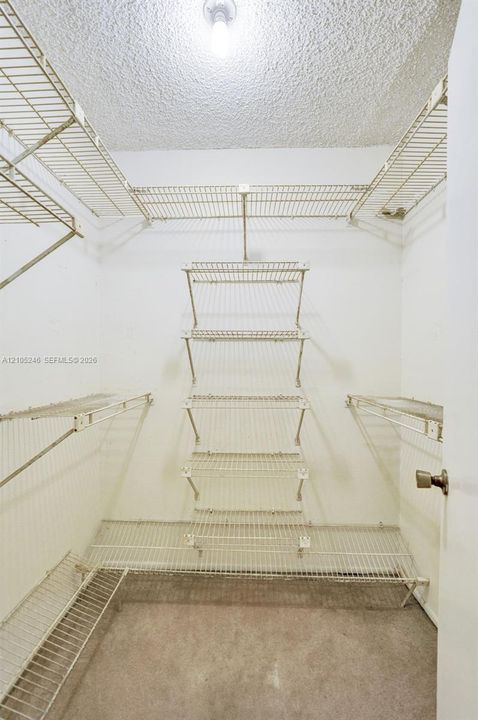 Walk-in closet featuring tiered white wire shelving, wall-mounted racks, neutral carpeting, and a central ceiling light fixture