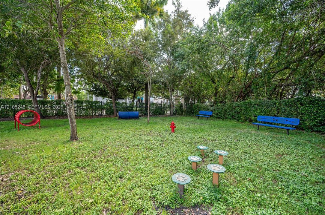 Grassed recreation area with mature trees, equipped with a red obstacle hoop, a blue tunnel, and multiple blue benches