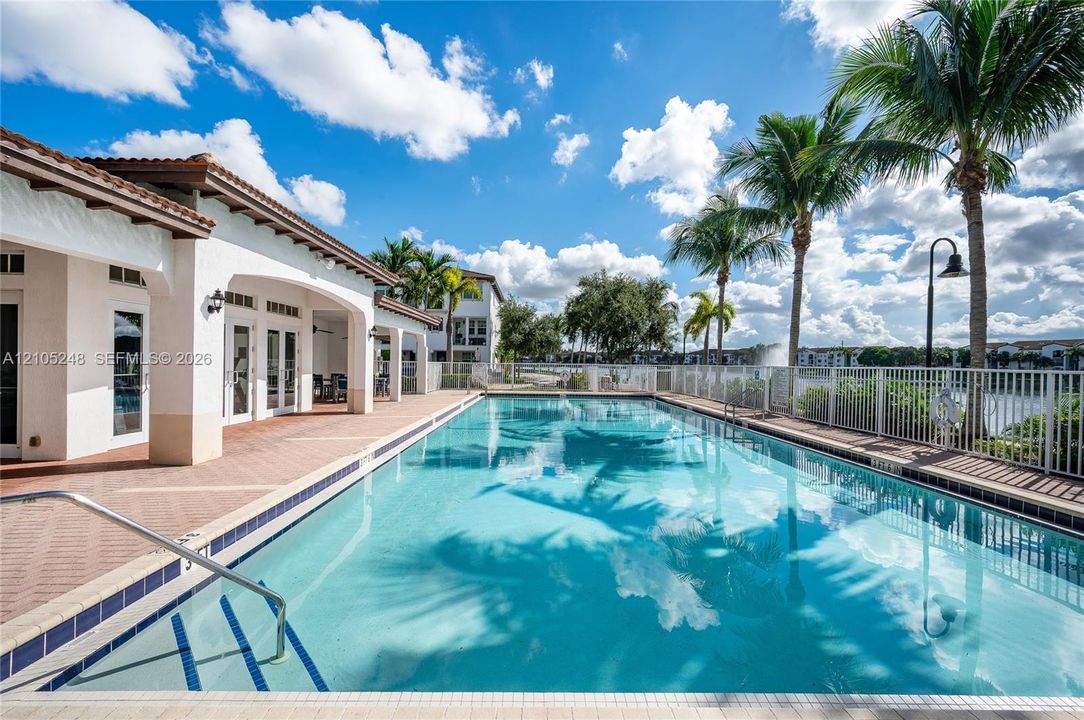 Expansive swimming pool with a tiled perimeter, surrounding paver patio, and mature palm trees