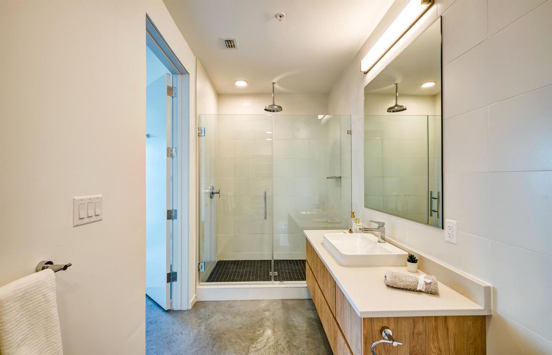 Master bath - sink and shower