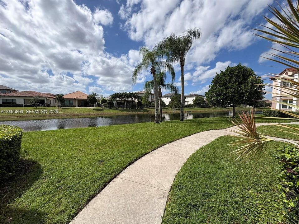 Paved walkway leading to a waterfront setting with lush green landscaping, mature palm trees, and a distant residential backdrop