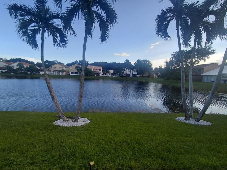 pic 25