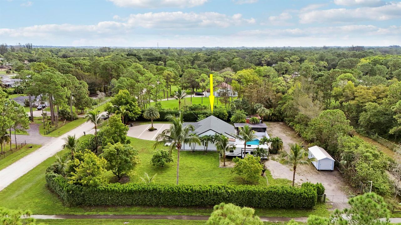 Aerials-5 copy